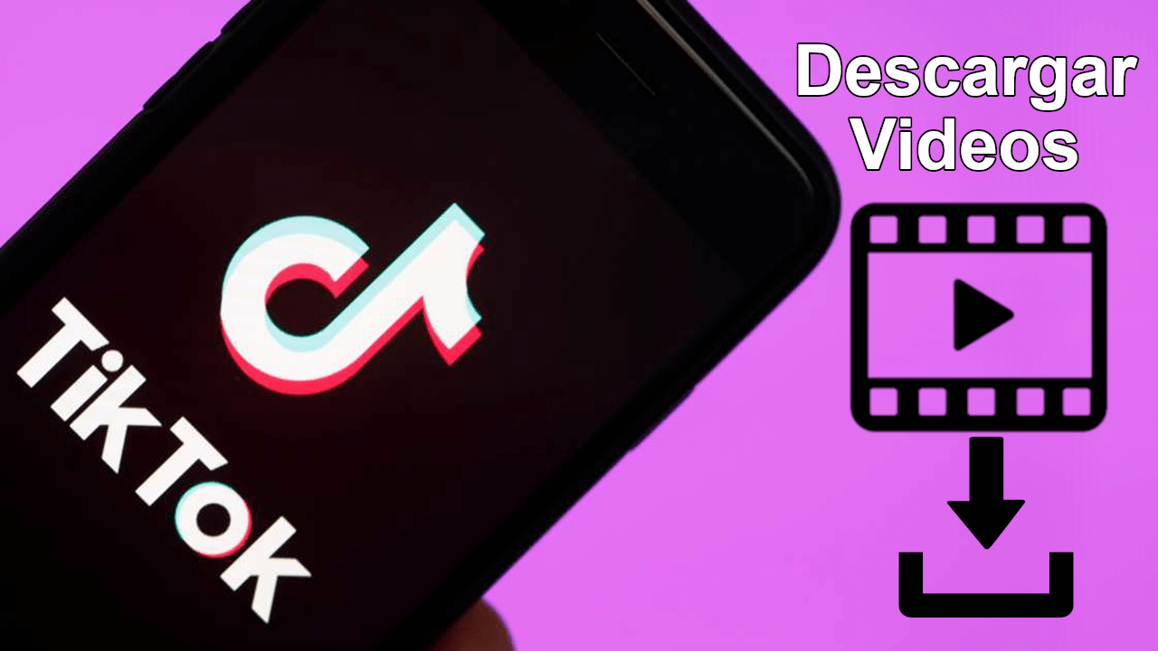 descargar video tik tok