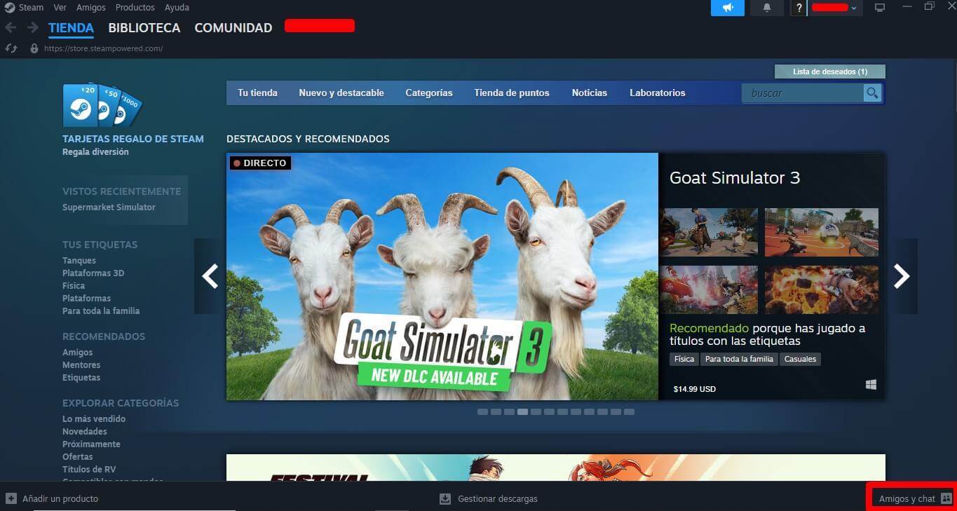 puedes ocultar tu actividad de steam